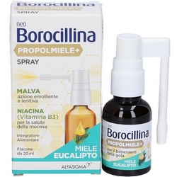 NeoBorocillina Propolmiele Spray Orale 20mL