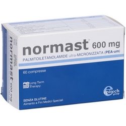 Normast 600 60 Tablets 54g