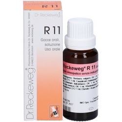 Dr Reckeweg R11 Drops 22mL