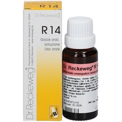 Dr Reckeweg R14 Drops 22mL