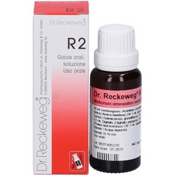 Dr Reckeweg R2 Drops 22mL