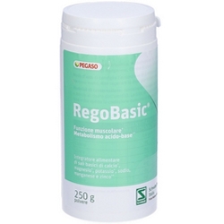 Image of RegoBasic Polvere 250g