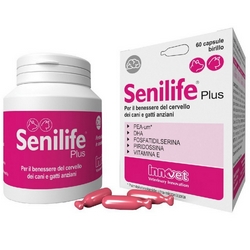 Senilife Plus 60 Capsules 61g