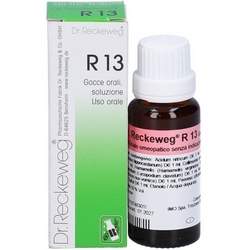 Dr Reckeweg R13 Gocce 22mL - Pagina prodotto: https://www.farmamica.com/store/dettview.php?id=11351