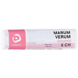 Teucrium Marum 5CH Granules CeMON - Product page: https://www.farmamica.com/store/dettview_l2.php?id=11649